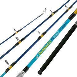 Barbado-S-Recorte-site